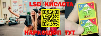 стаф Берёзовский