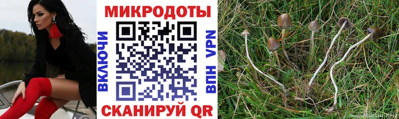 Галлюциногенные грибы мухоморы гидра вход Дзержинский