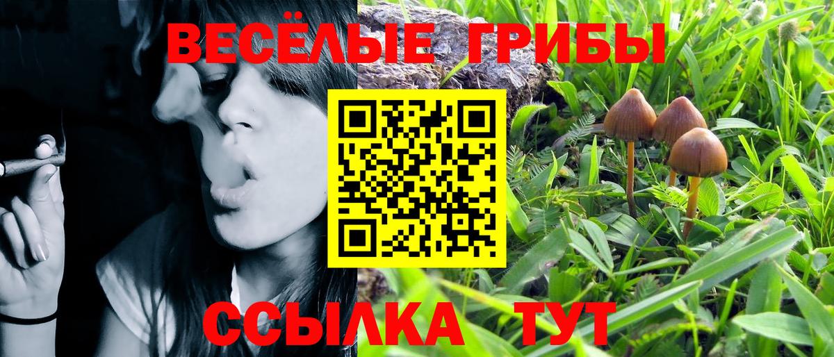 Псилоцибиновые грибы ЛСД Дзержинский
