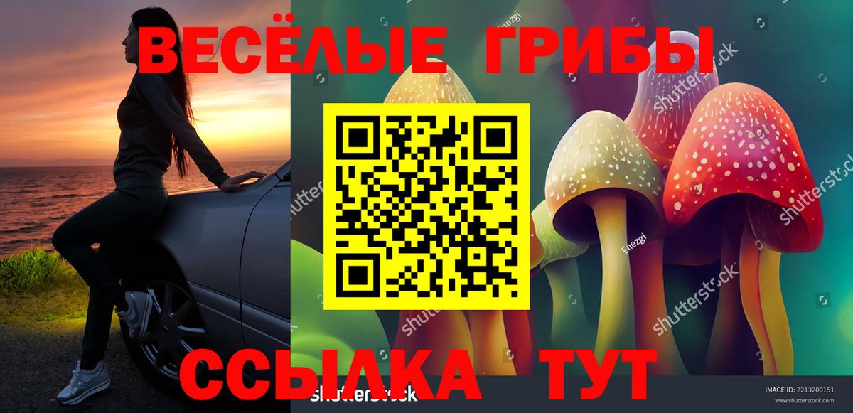 Дзержинский  Псилоцибиновые грибы мухоморы  наркота  Вход с VPN  Псилоцибиновые грибы Cubensis 