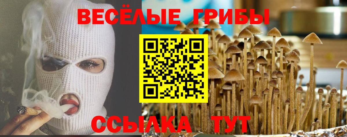 Псилоцибиновые грибы прущие грибы  закладки  Дзержинский 
